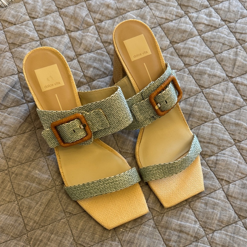 Dolce Vita Aqua and Tan Mules with Buckle